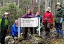 Friends pitch in to protect Wellington Park