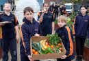 Montrose Bay High School students (L-R) James, Lachie, Taylah, Trey and Maggie in the school’s redeveloped 24 Carrot Garden